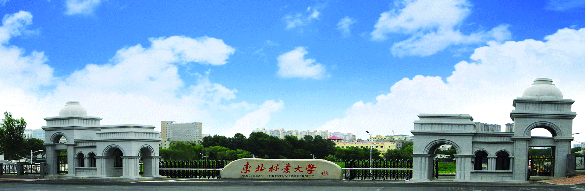 2026世界杯官网